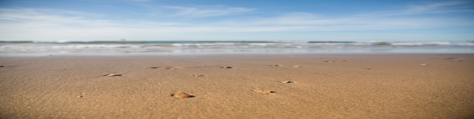 Strand Domburg
