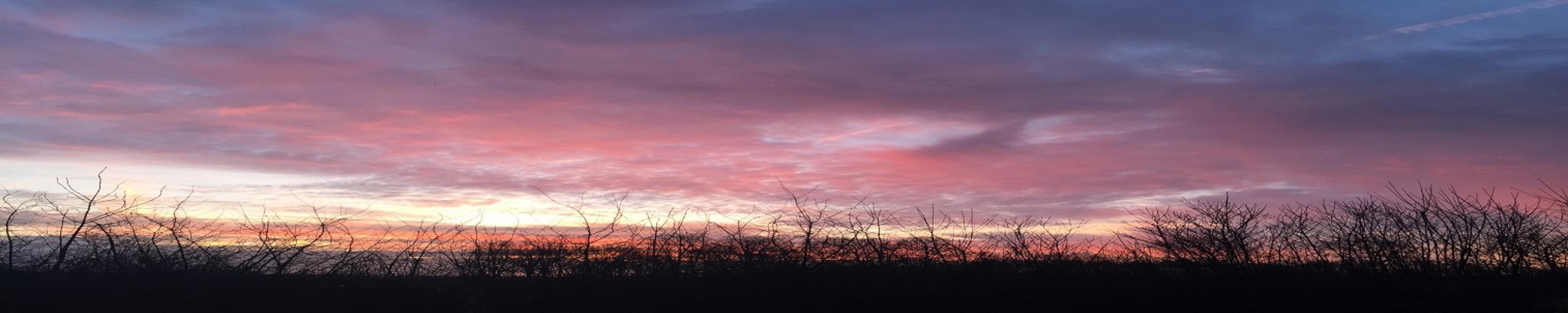 opkomende zon met roze wolken