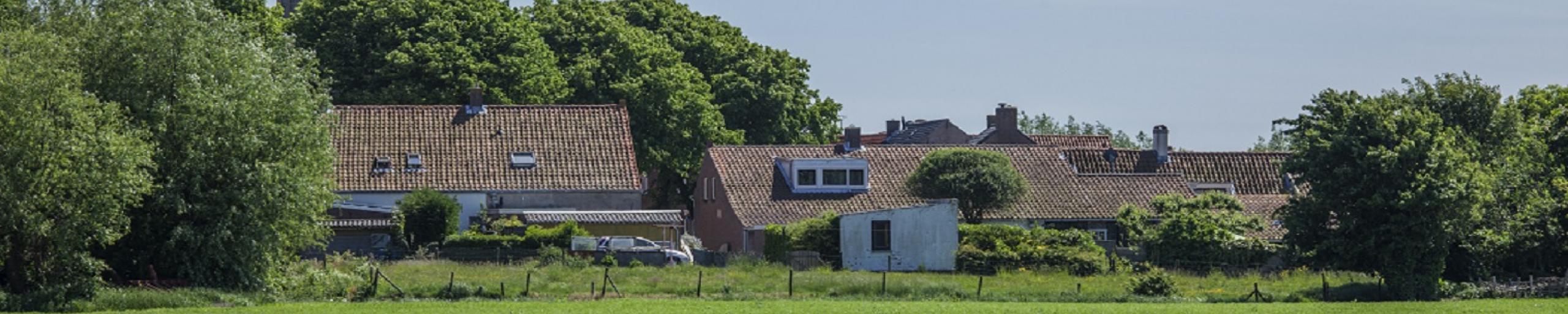 huizen en weiland