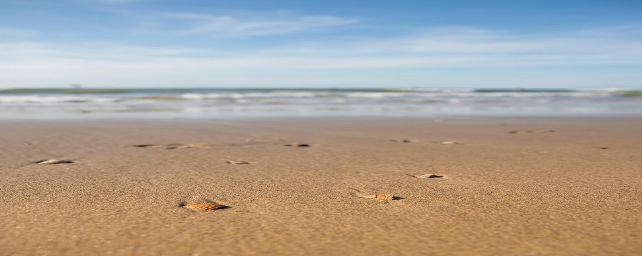 Strand Domburg