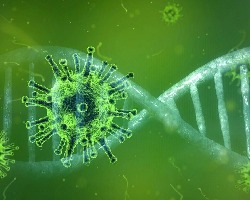 Coronavirus Veere