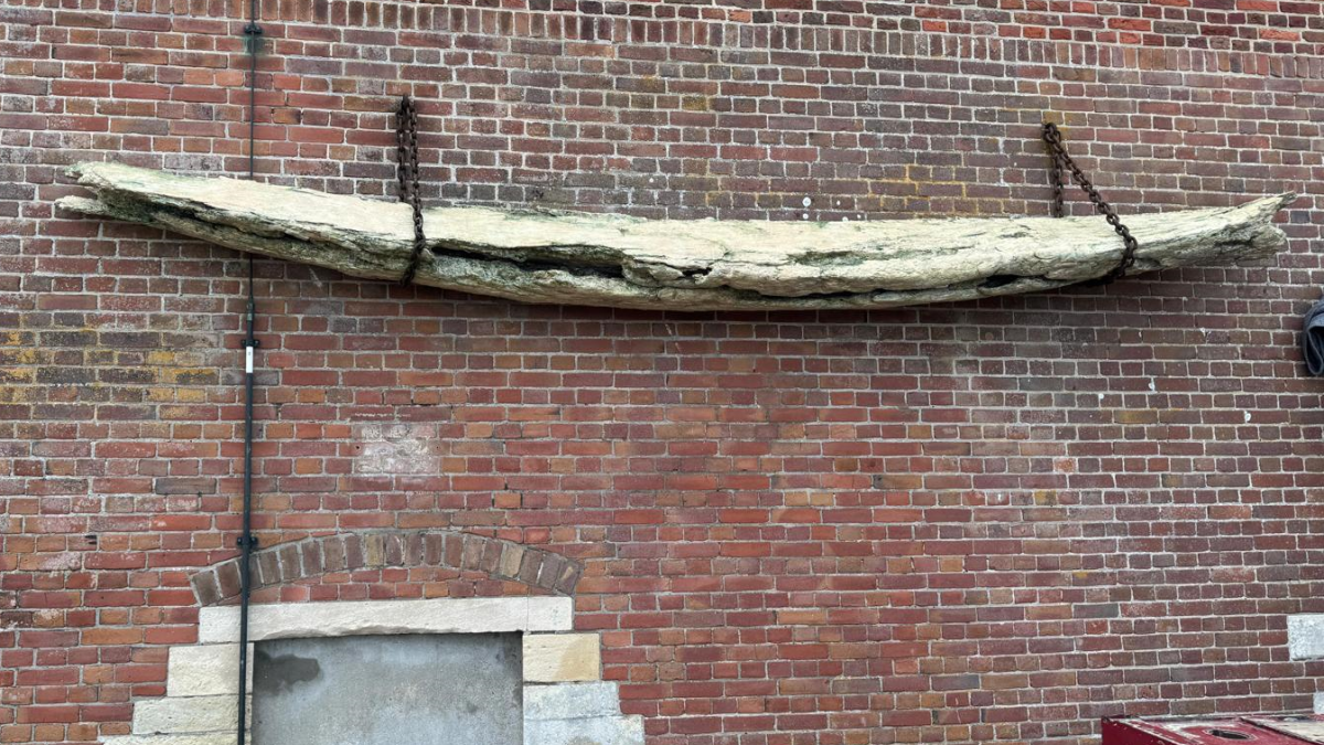 Walviskaak terug in Veere